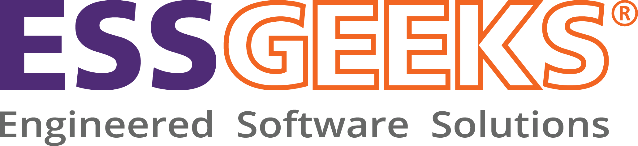 ESSGEEKS – Software Development Company in Pune